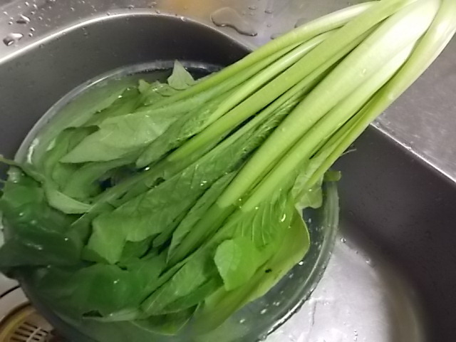 うさぎ 小松菜 青い野菜から赤い血が作られる うさぎをアパートベランダで飼う