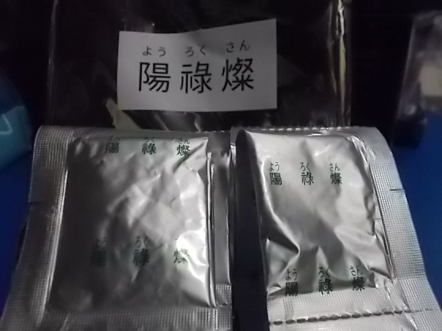 森下自然医学 会員月刊冊子12冊 森下敬三 入手困難品 本