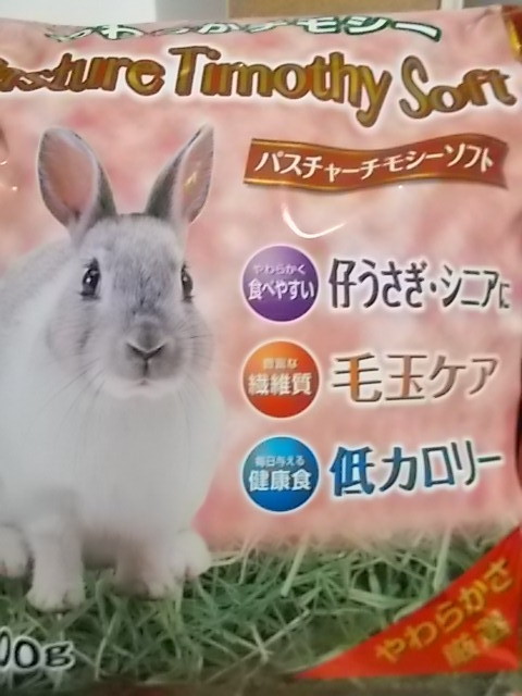 うさぎ やわらかチモシー 仔うさぎ シニアに うさぎをアパートベランダで飼う